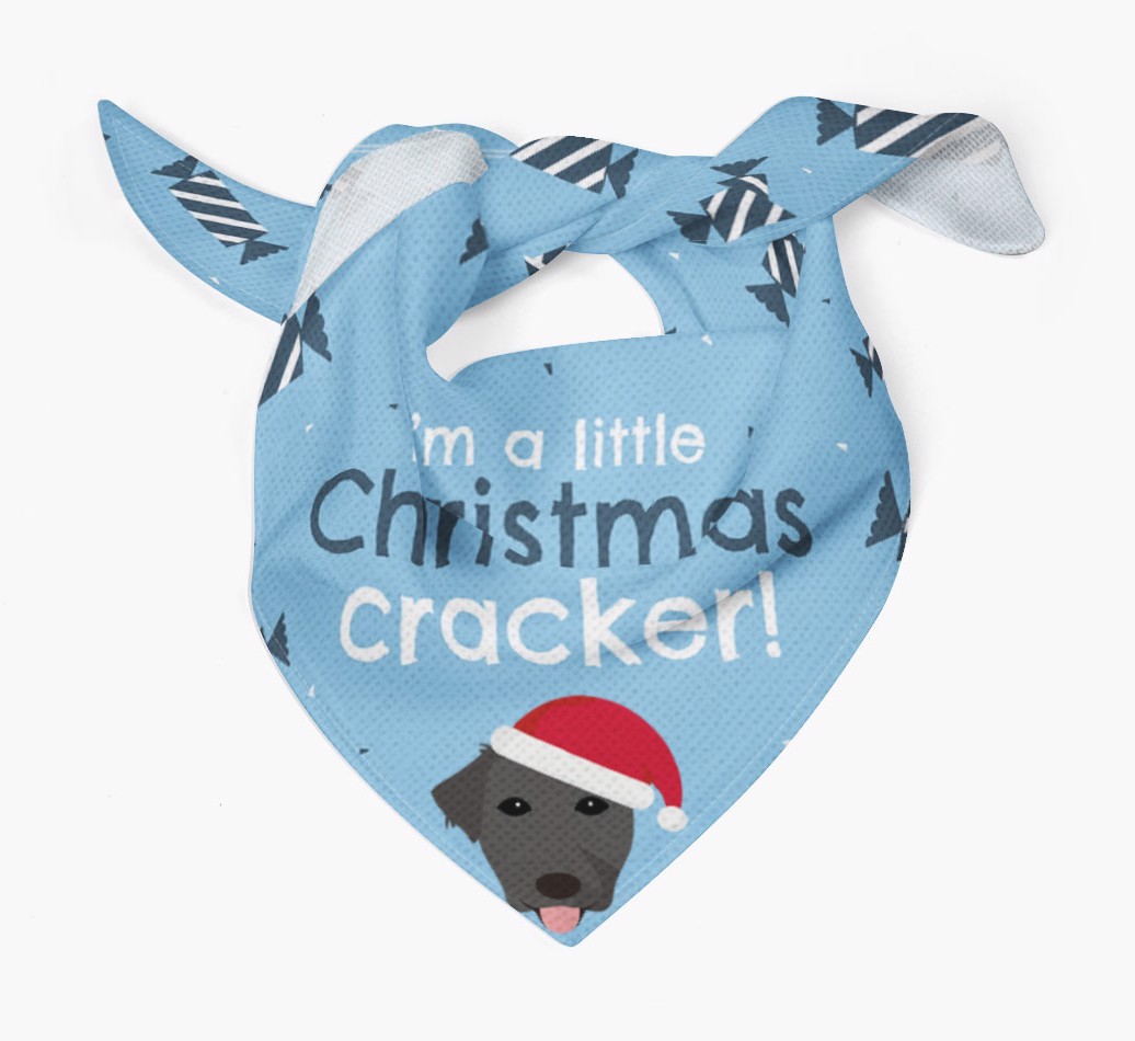 'Christmas Cracker' - Personalized {breedFullName} Bandana