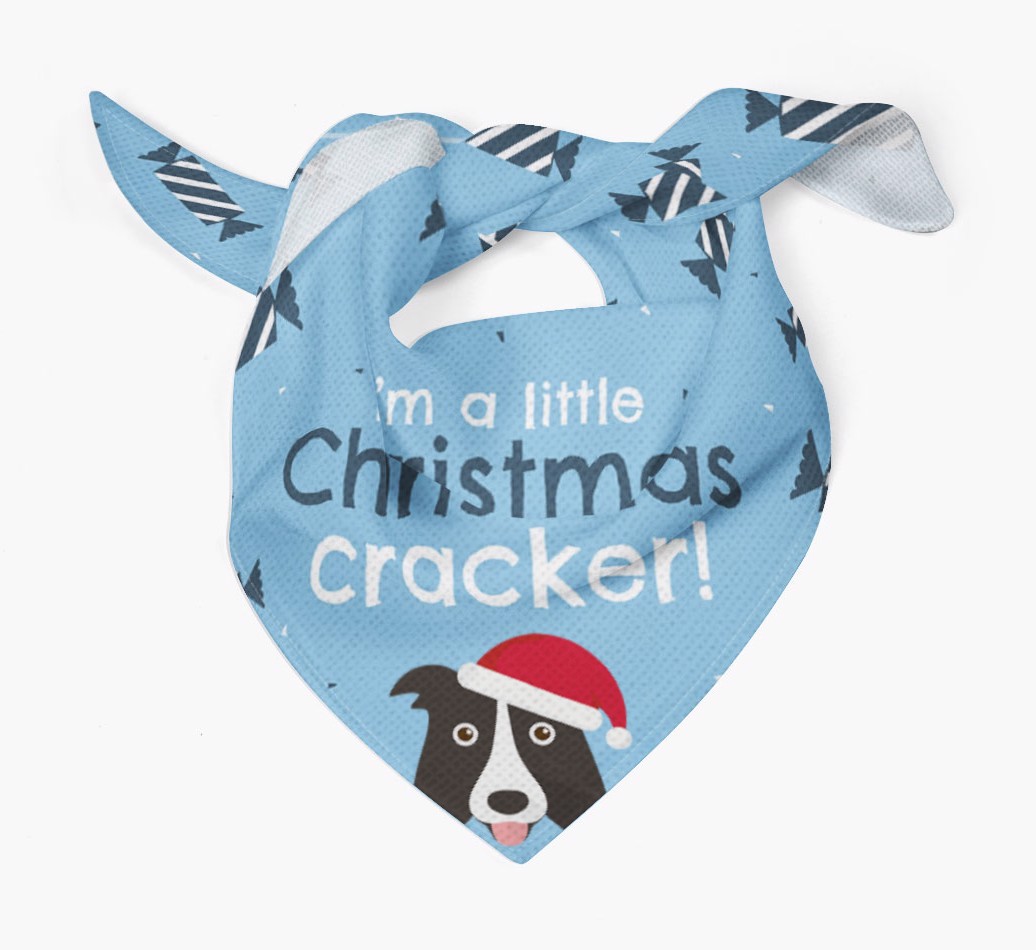 'Christmas Cracker' - Personalized {breedFullName} Bandana