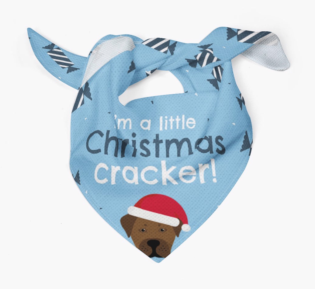 Christmas Cracker Personalised Bandana with {breedFullName} Icon