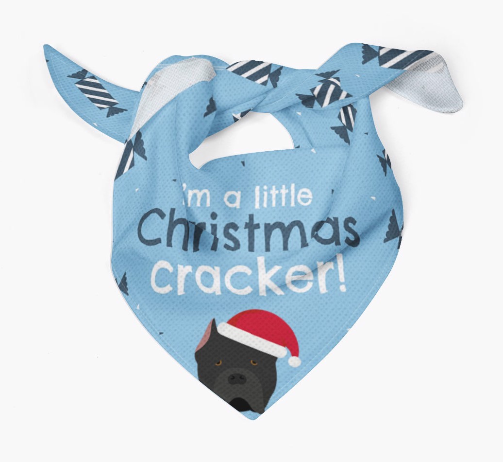 'Christmas Cracker' - Personalized {breedFullName} Bandana