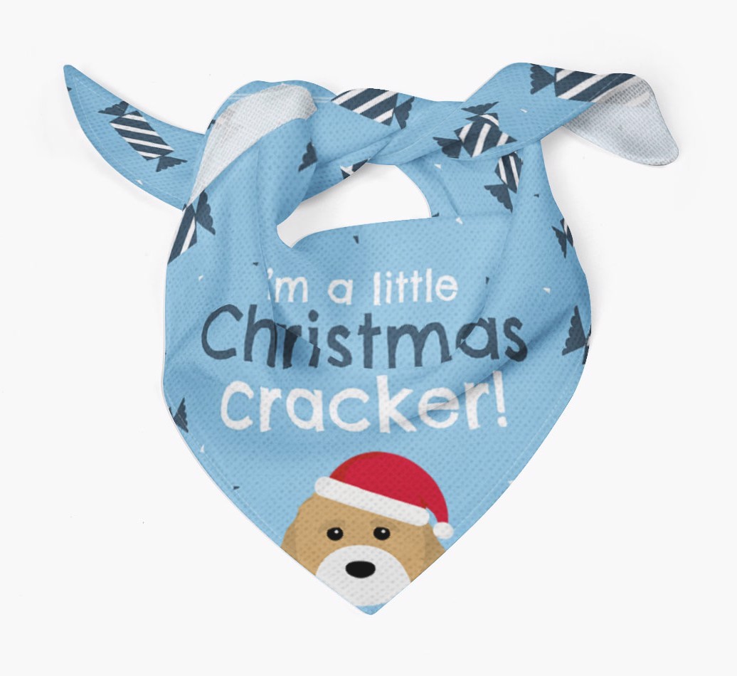 Christmas Cracker Personalised Bandana with {breedFullName} Icon