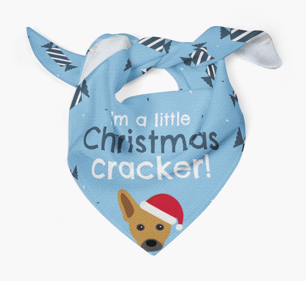 'Christmas Cracker' - Personalized {breedFullName} Bandana