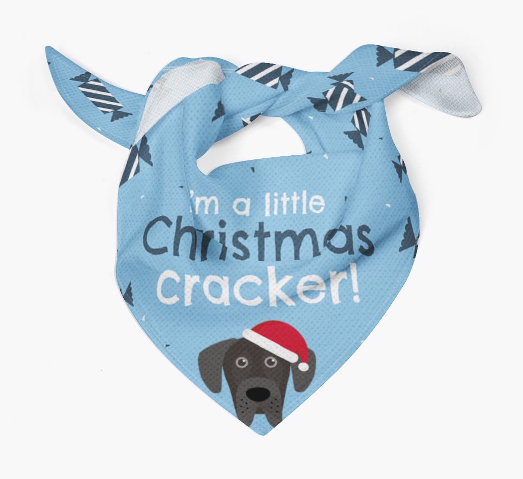 'Christmas Cracker' - Personalized {breedFullName} Bandana