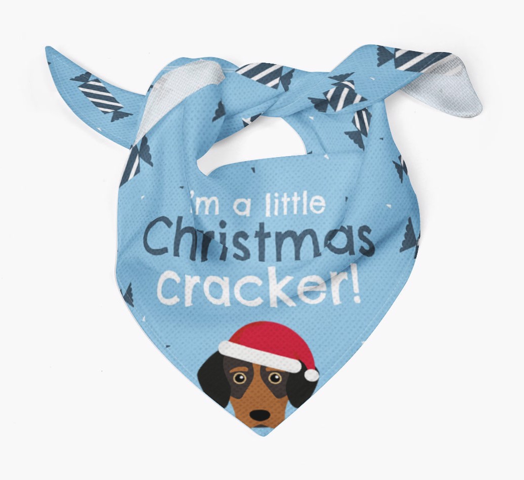 Christmas Cracker Personalised Bandana with {breedFullName} Icon