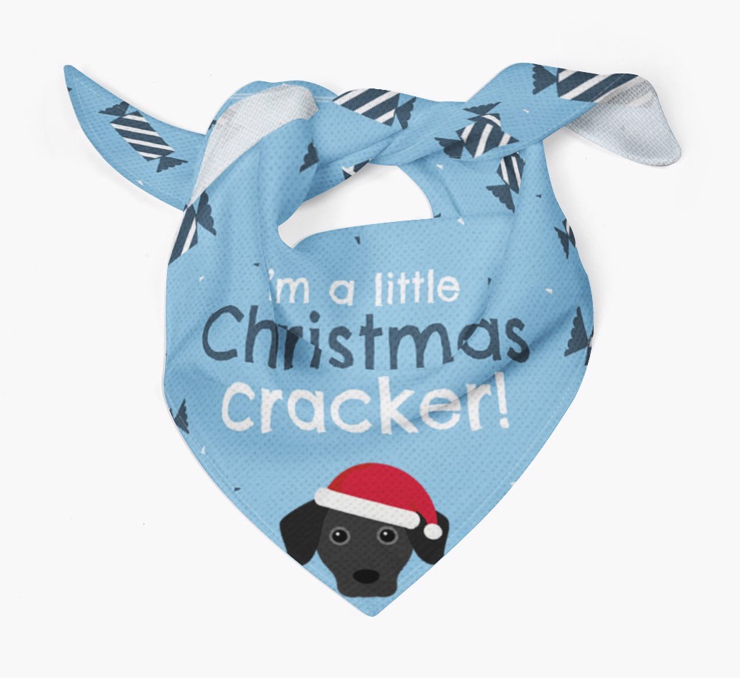 'Christmas Cracker' - Personalized {breedFullName} Bandana