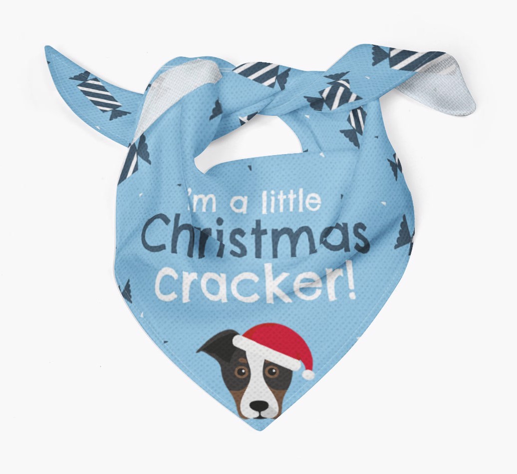 'Christmas Cracker' - Personalized {breedFullName} Bandana