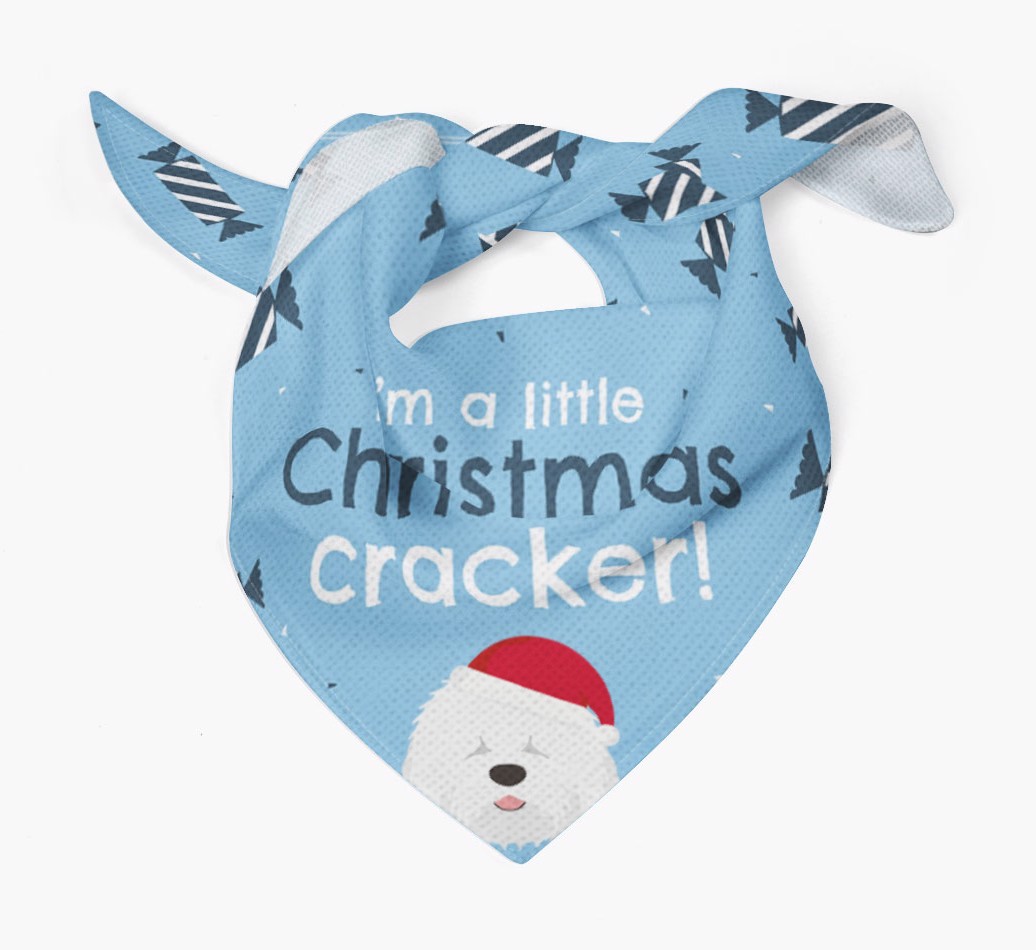 Christmas Cracker Personalised Bandana with {breedFullName} Icon