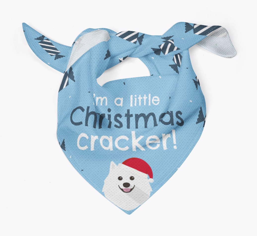 Christmas Cracker Personalised Bandana with {breedFullName} Icon
