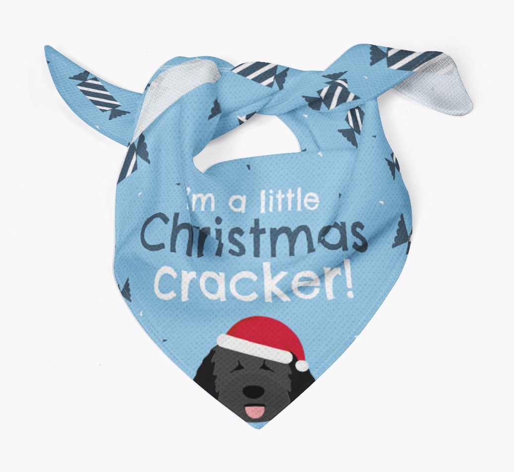'Christmas Cracker' - Personalized {breedFullName} Bandana