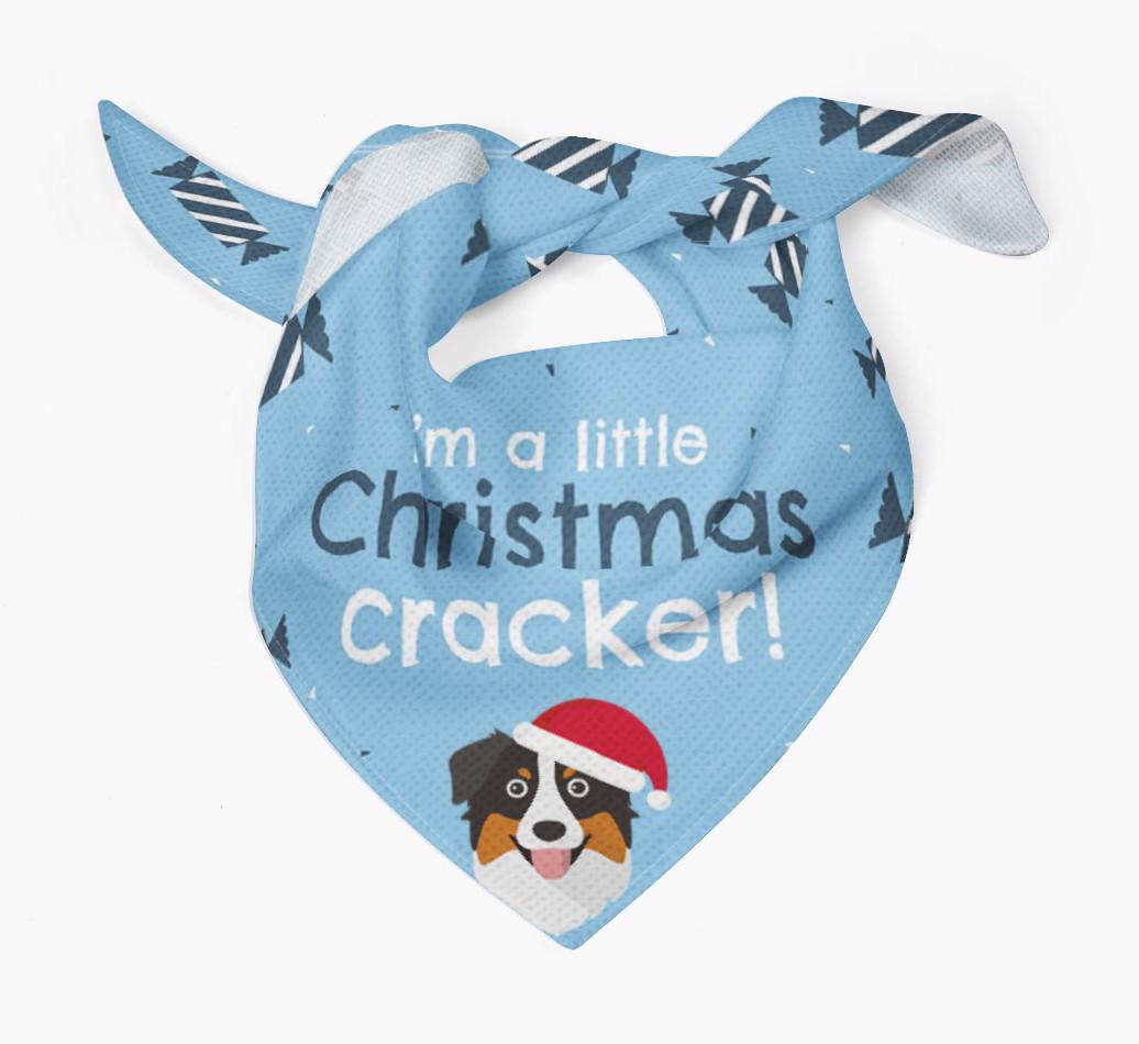 'Christmas Cracker' - Personalized {breedFullName} Bandana