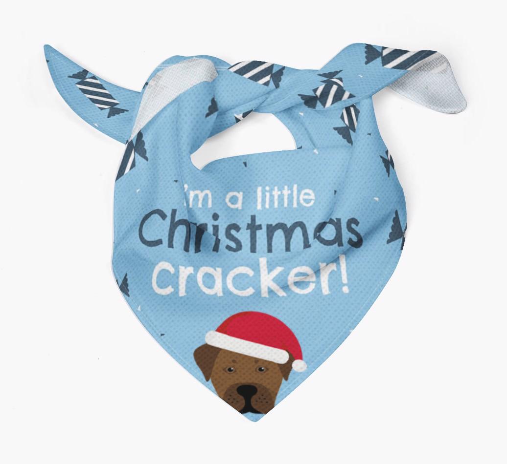 'Christmas Cracker' - Personalized {breedFullName} Bandana