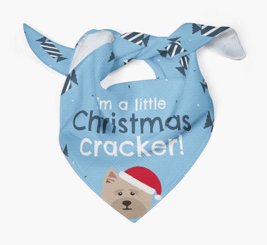 'Christmas Cracker' - Personalized {breedFullName} Bandana