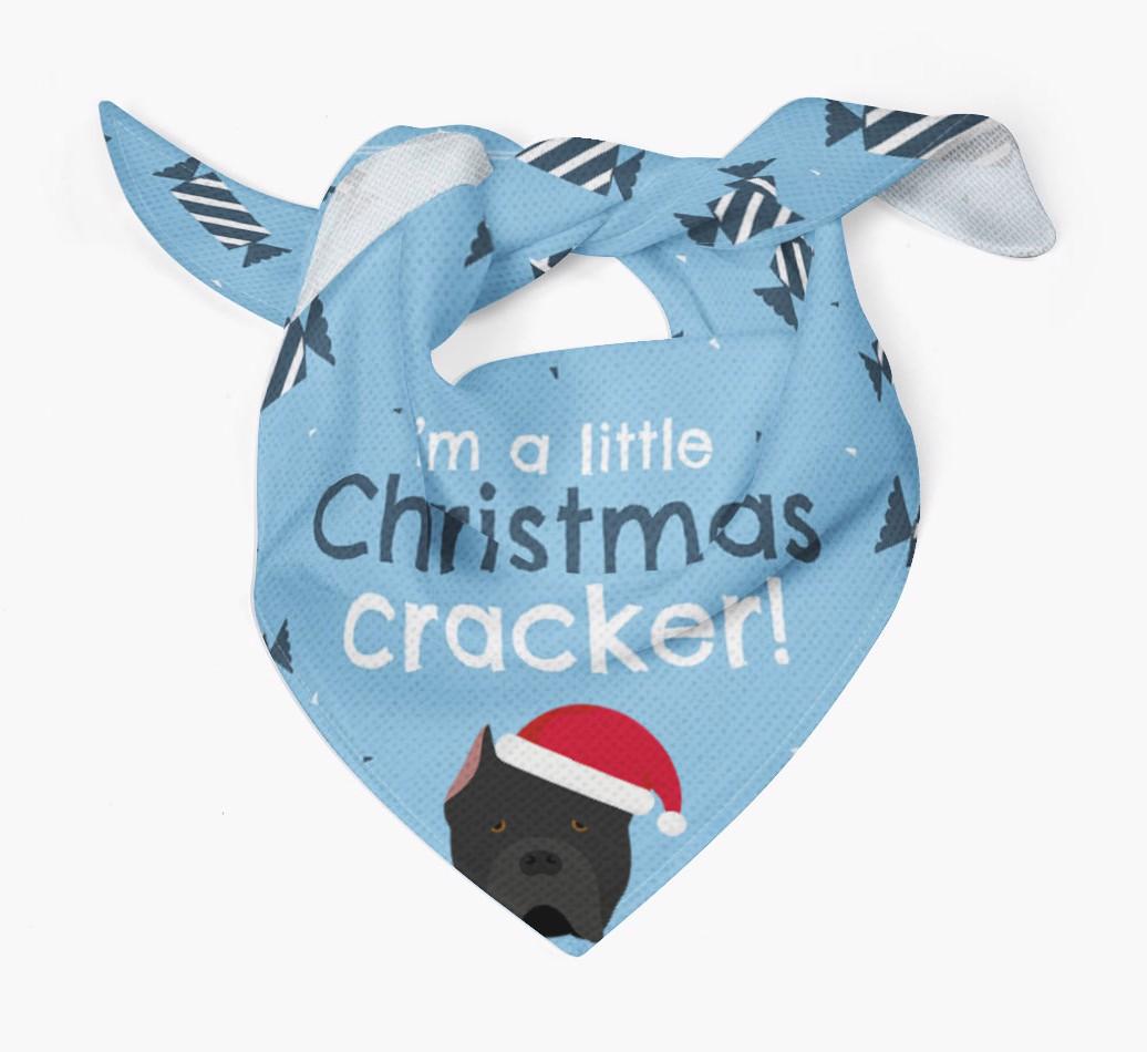 'Christmas Cracker' - Personalized {breedFullName} Bandana
