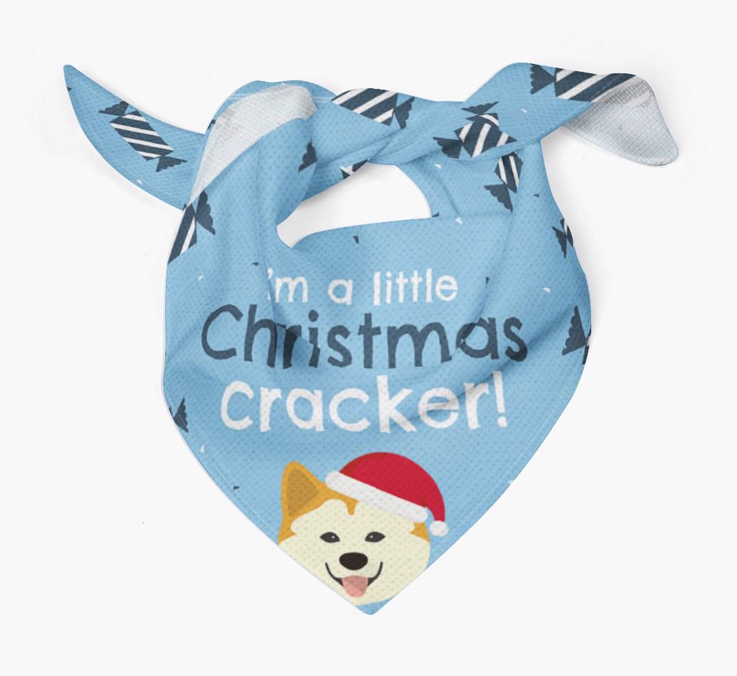 'Christmas Cracker' - Personalized {breedFullName} Bandana