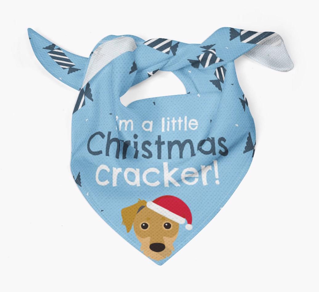 'Christmas Cracker' - Personalized {breedFullName} Bandana