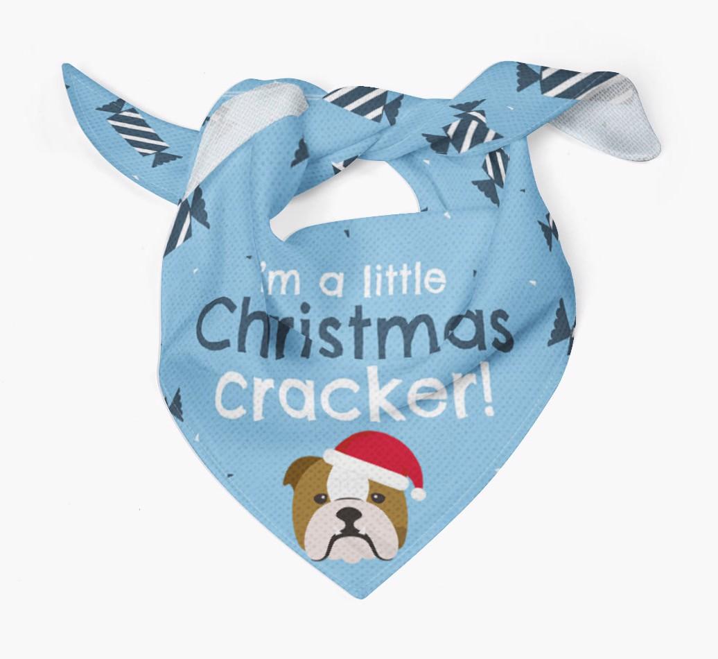 'Christmas Cracker' - Personalized {breedFullName} Bandana