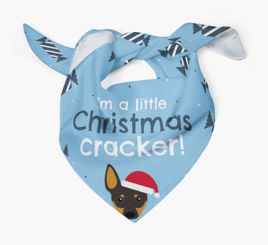 'Christmas Cracker' - Personalized {breedFullName} Bandana