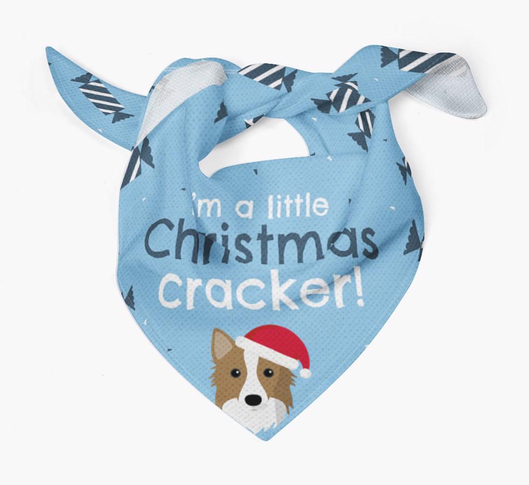 'Christmas Cracker' - Personalized {breedFullName} Bandana