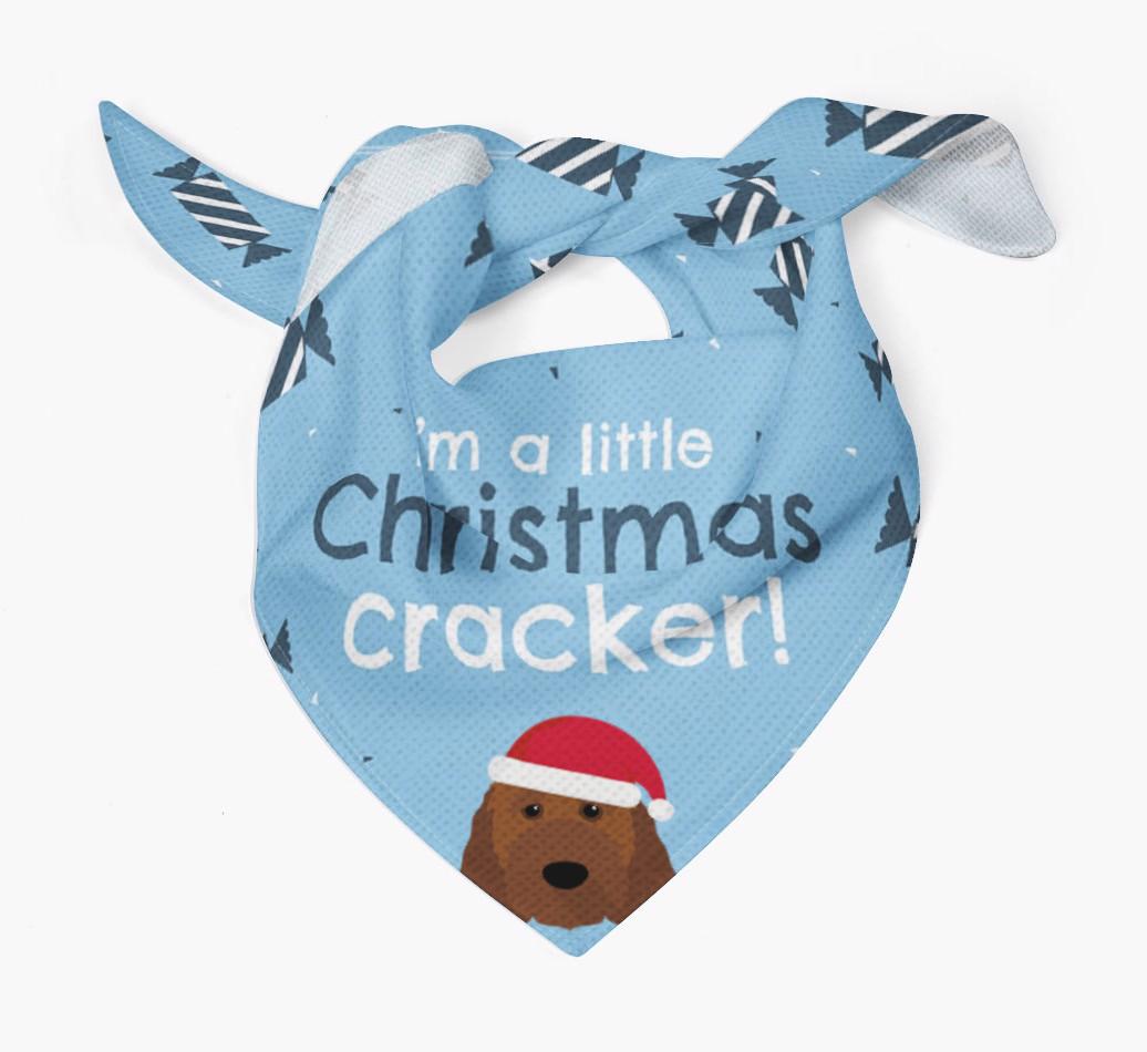 'Christmas Cracker' - Personalized {breedFullName} Bandana
