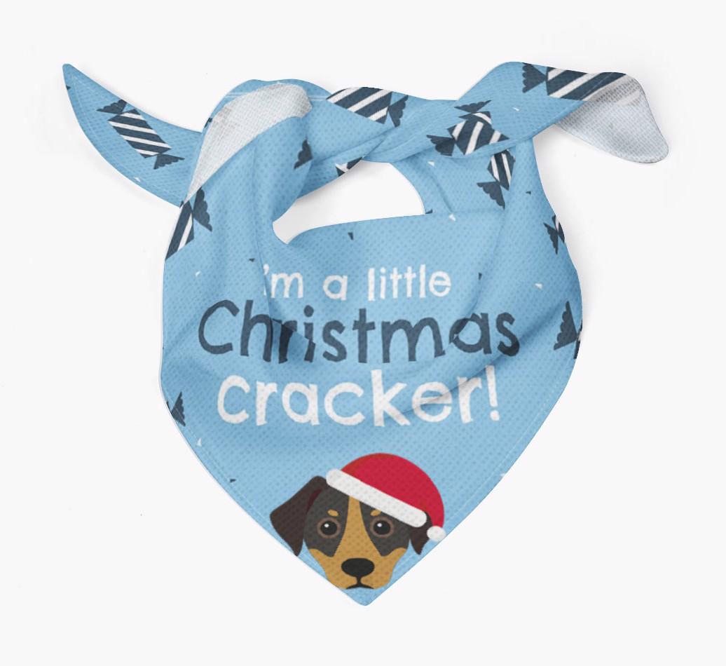 'Christmas Cracker' - Personalized {breedFullName} Bandana