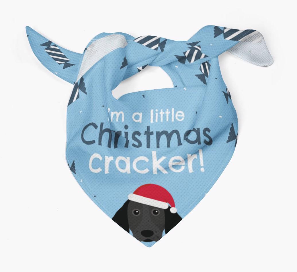 'Christmas Cracker' - Personalized {breedFullName} Bandana