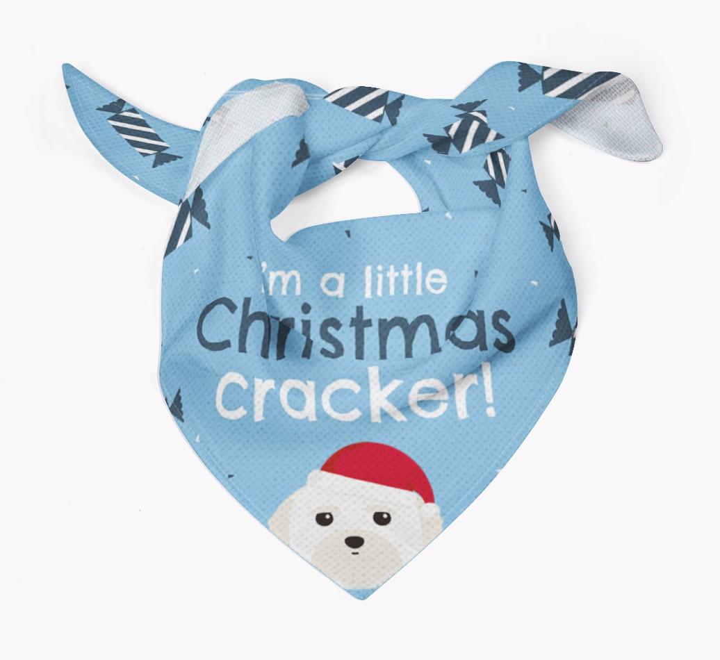 'Christmas Cracker' - Personalized {breedFullName} Bandana