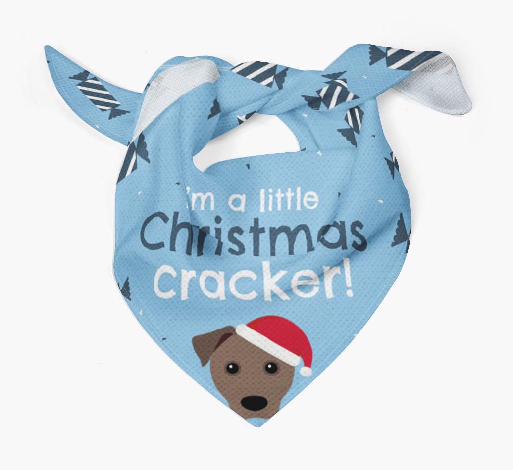 'Christmas Cracker' - Personalized {breedFullName} Bandana