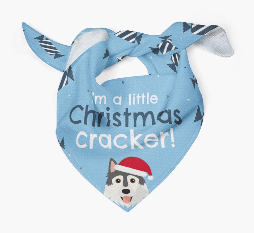 'Christmas Cracker' - Personalized {breedFullName} Bandana