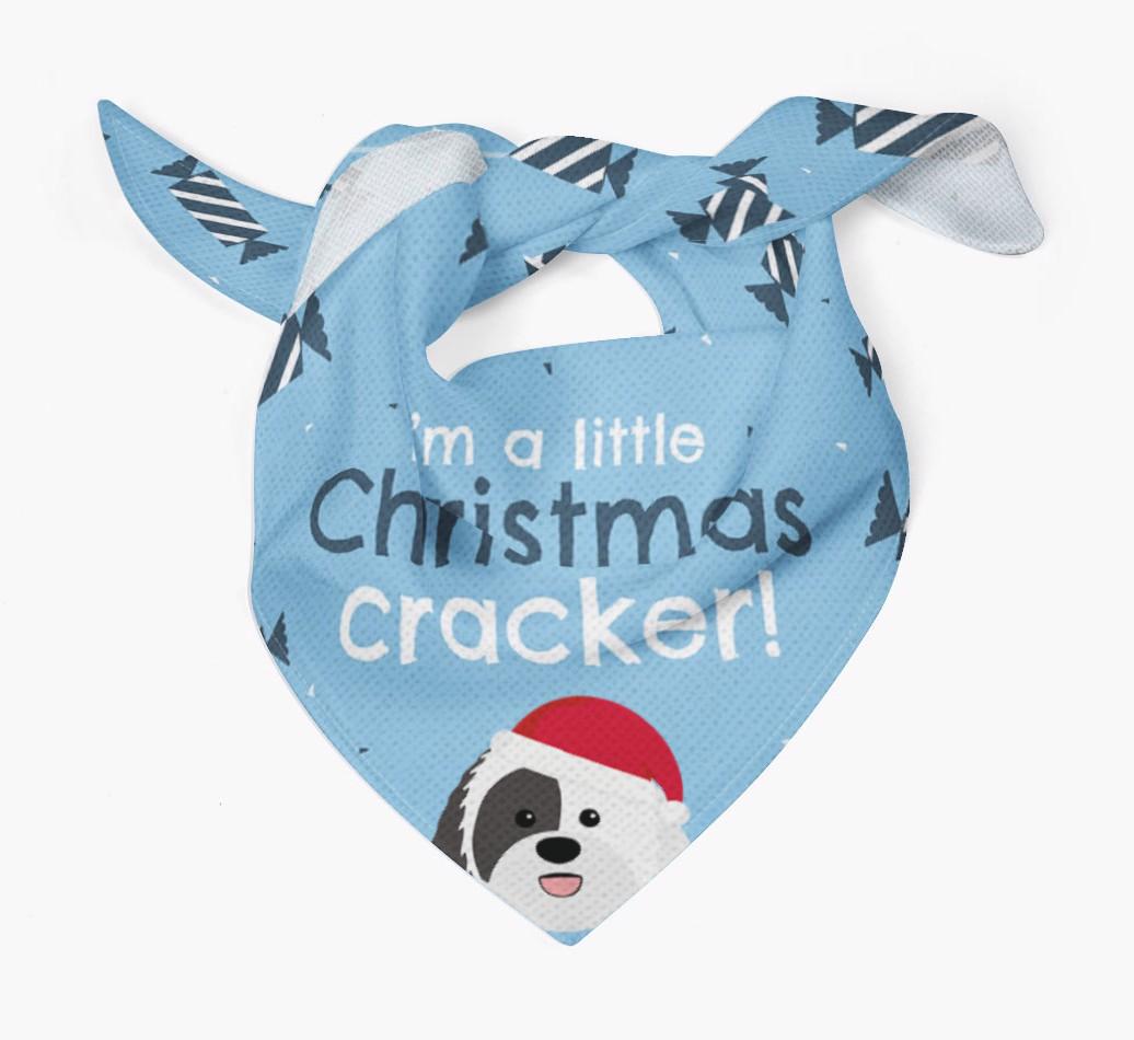 'Christmas Cracker' - Personalized {breedFullName} Bandana