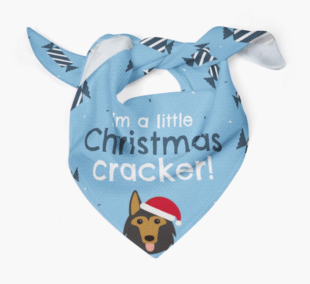 'Christmas Cracker' - Personalized {breedFullName} Bandana