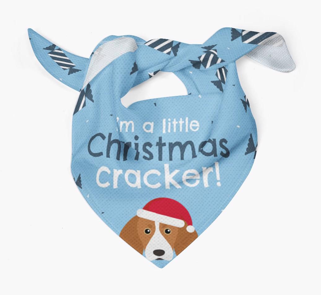 'Christmas Cracker' - Personalized {breedFullName} Bandana