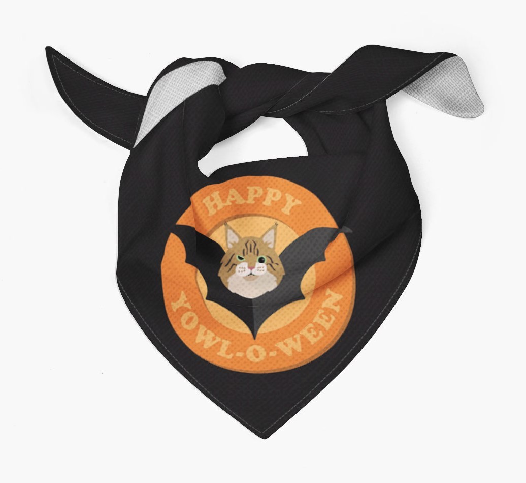 Halloween Cat Gifts