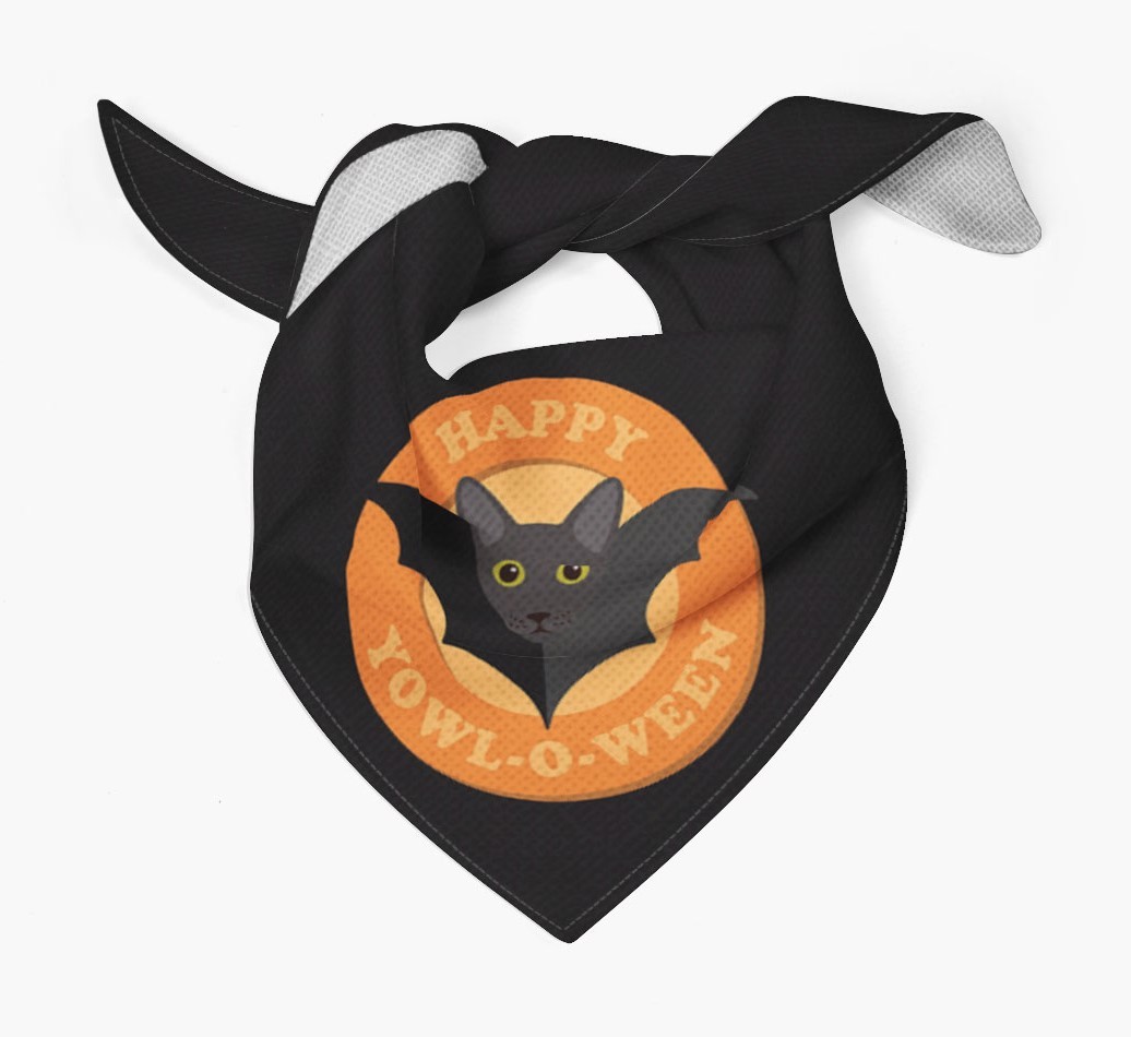 Halloween Cat Gifts