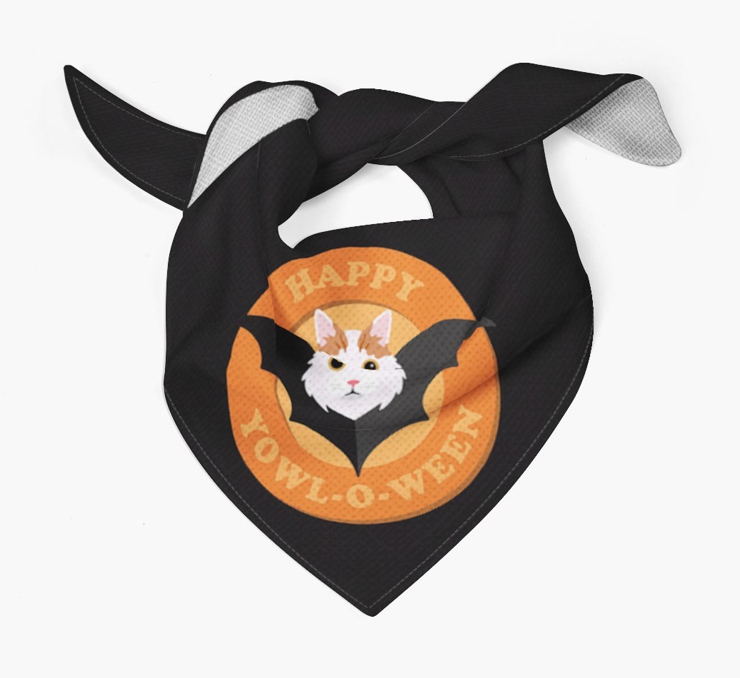 Halloween Cat Gifts
