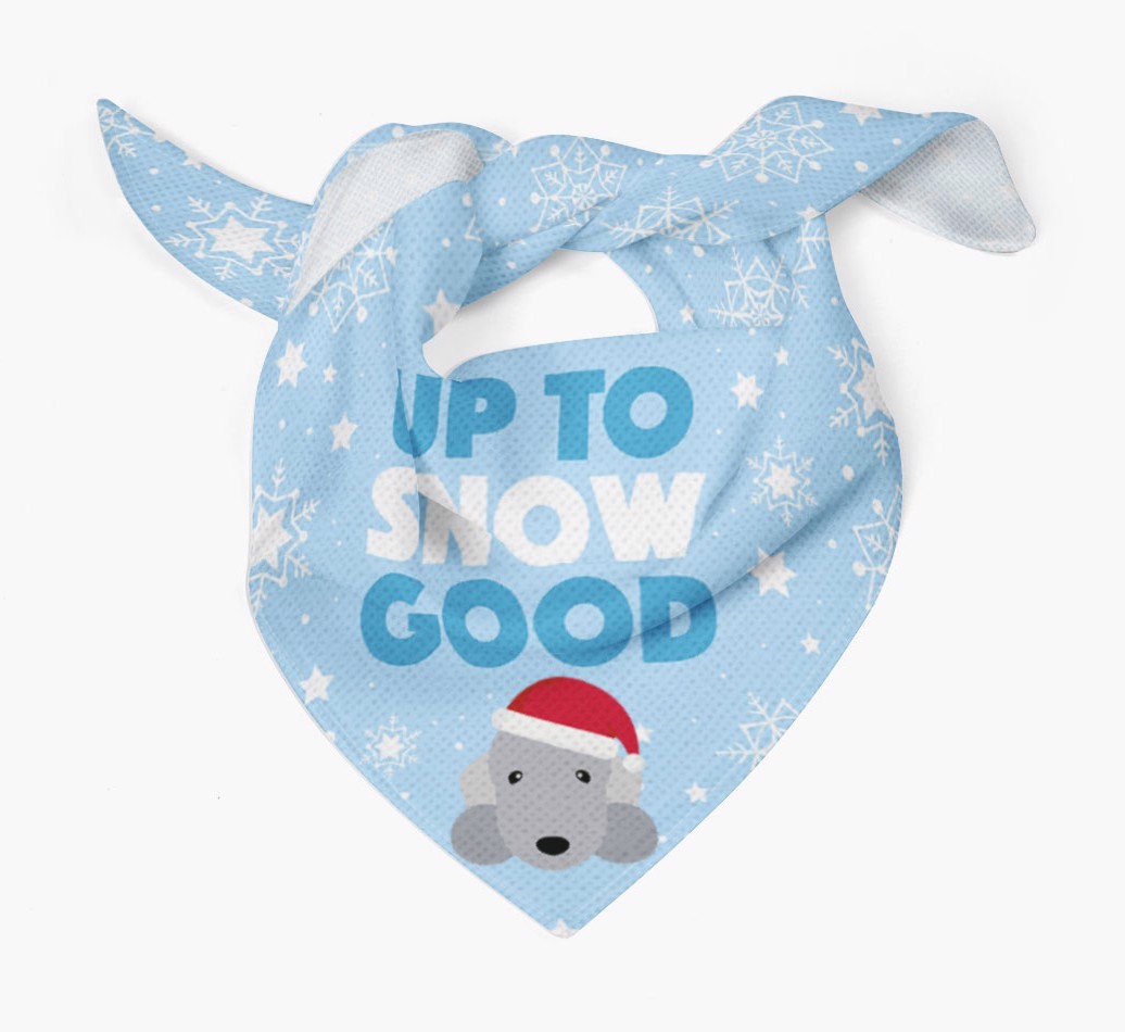 Up to Snow Good: Personalized {breedFullName} Bandana