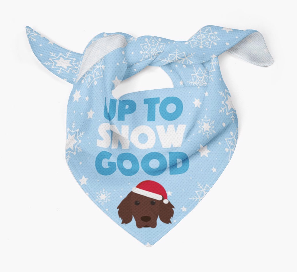 Up to Snow Good: Personalized {breedFullName} Bandana