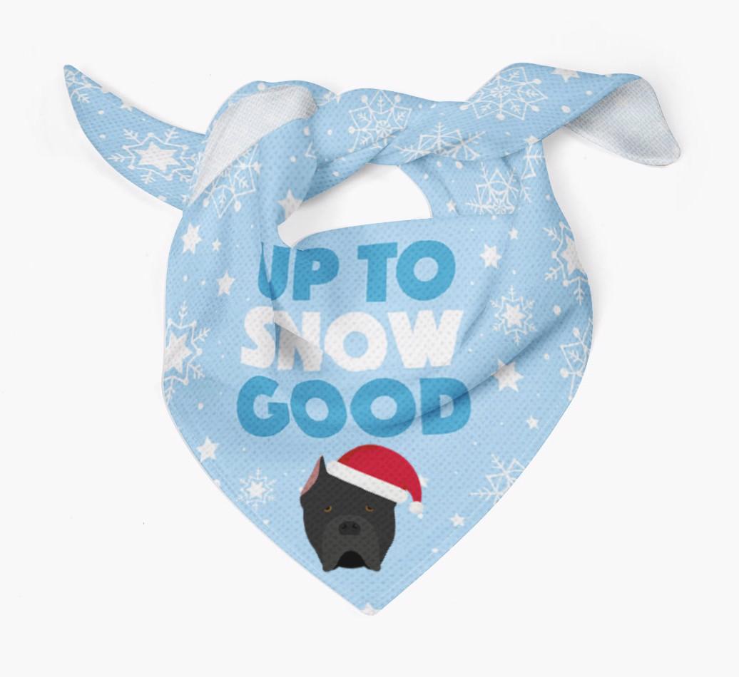 Up to Snow Good: Personalized {breedFullName} Bandana