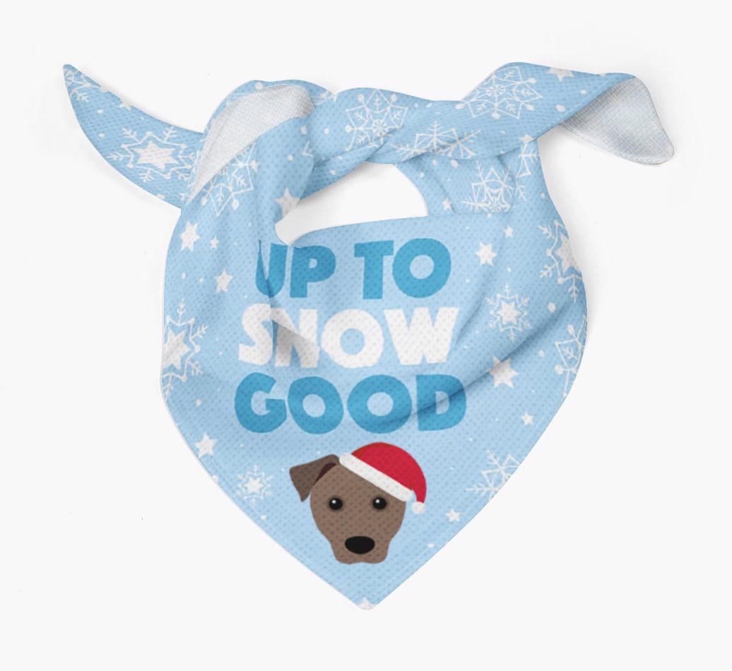 Up to Snow Good: Personalized {breedFullName} Bandana