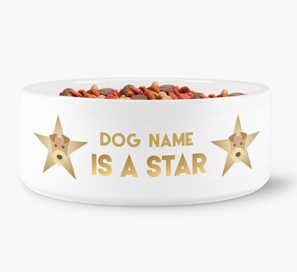 'Dog is a Star' - Personalised Dog Bowl for your {breedFullName}