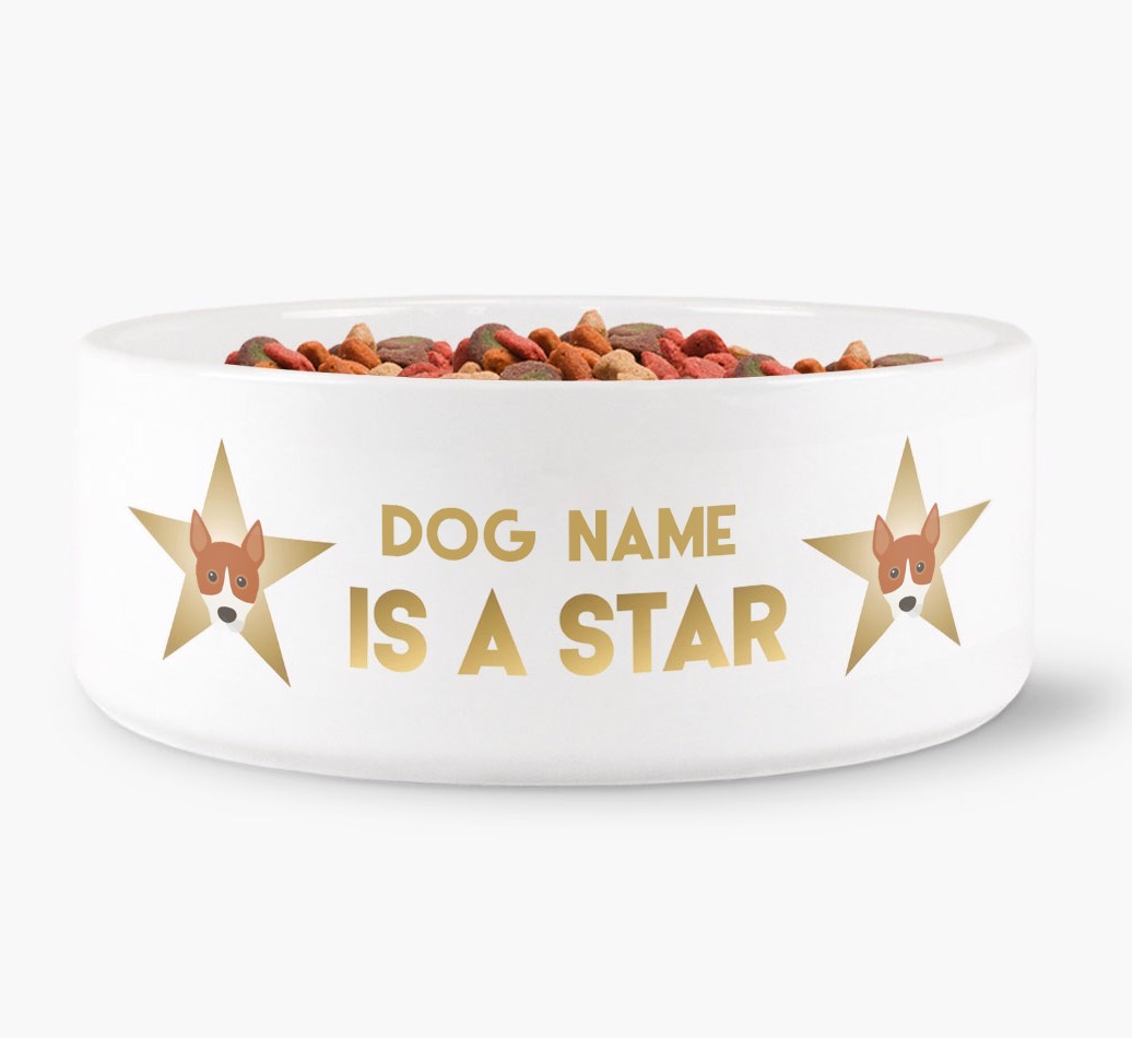'Dog is a Star' - Personalised Dog Bowl for your {breedFullName}