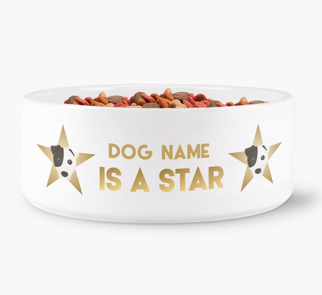 'Dog is a Star' - Personalised Dog Bowl for your {breedFullName}