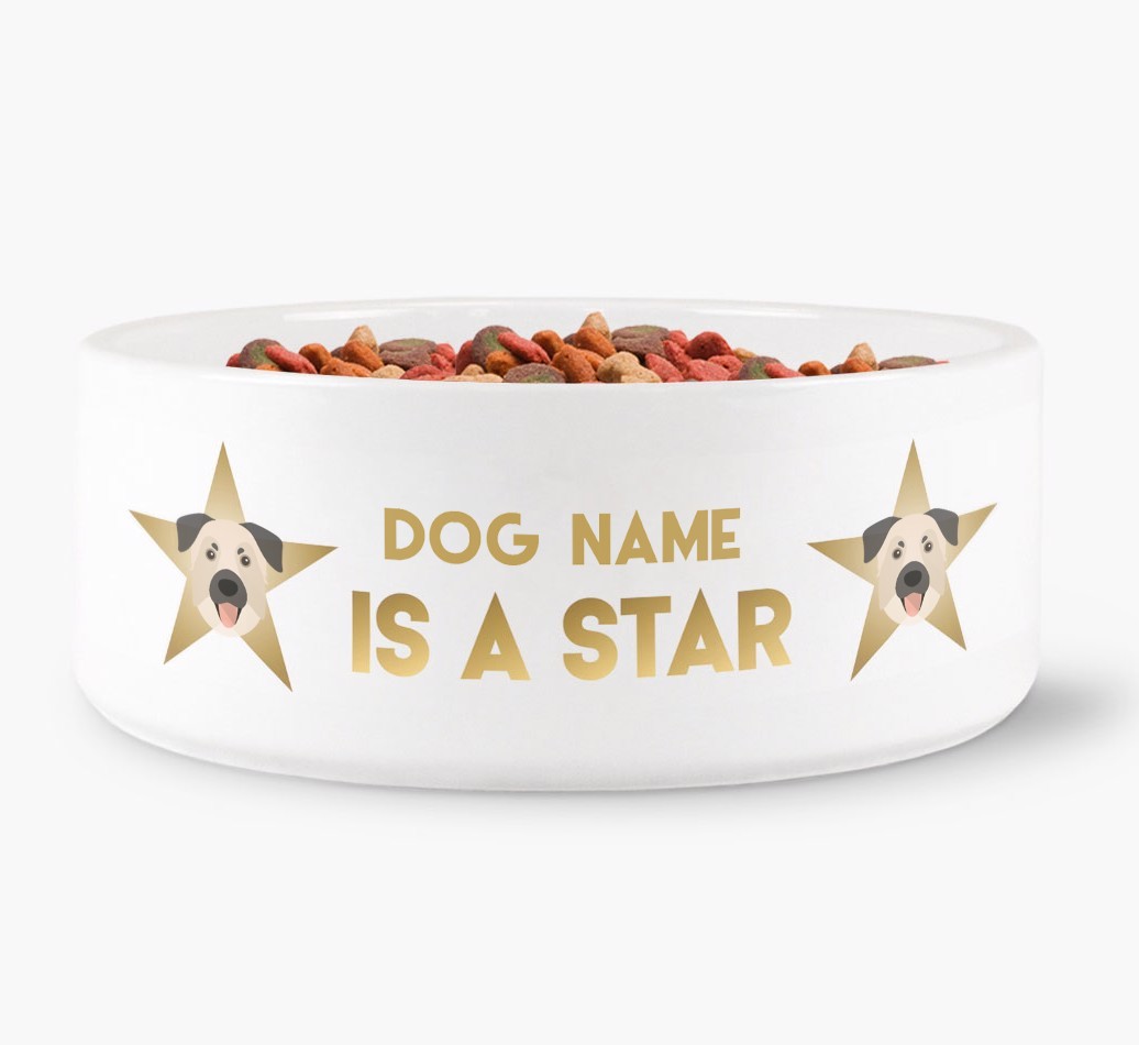 'Dog is a Star' - Personalised Dog Bowl for your {breedFullName}