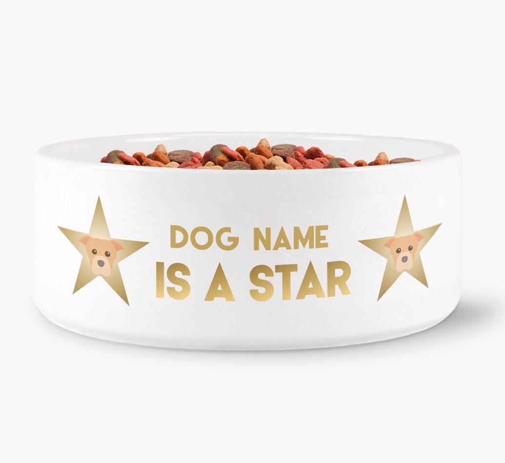 'Dog is a Star' - Personalized Dog Bowl for your {breedFullName}