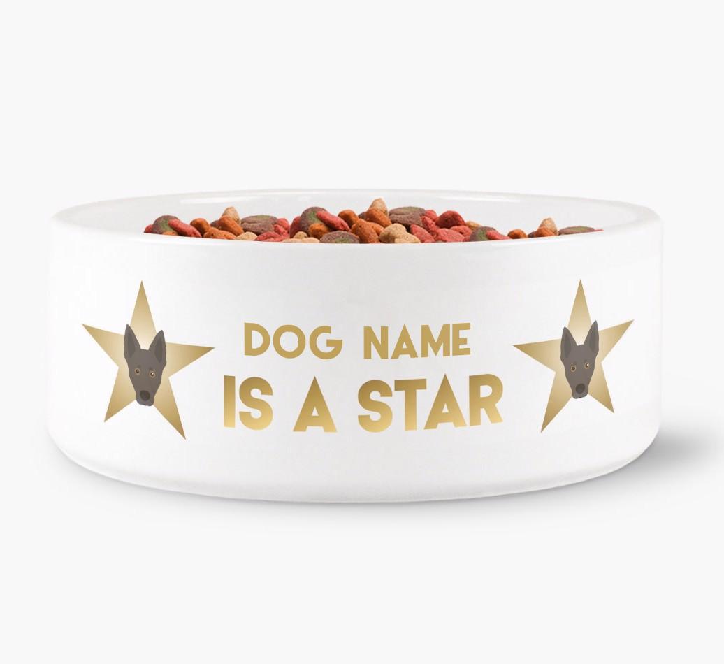 'Dog is a Star' - Personalized Dog Bowl for your {breedFullName}