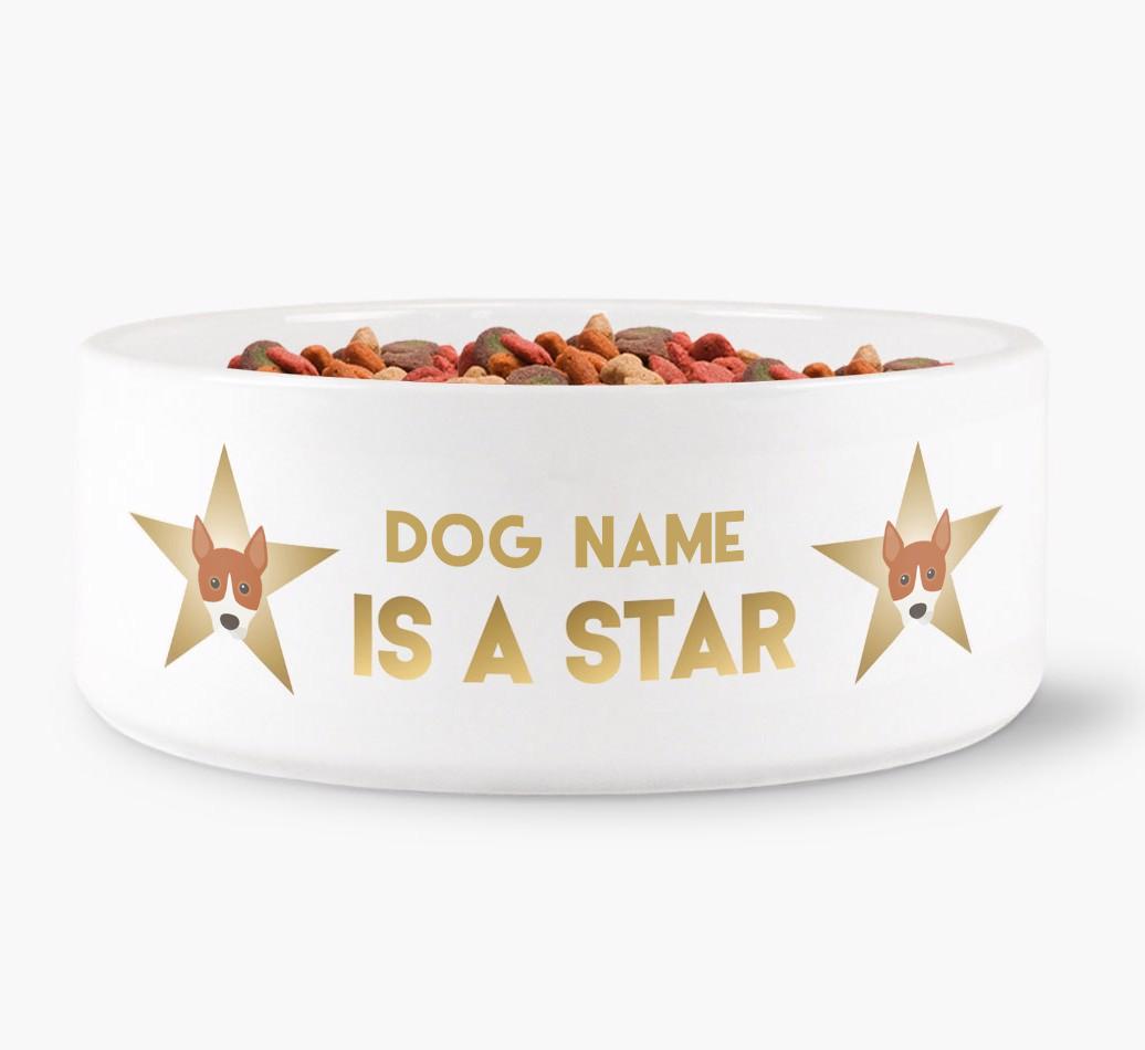 'Dog is a Star' - Personalized Dog Bowl for your {breedFullName}