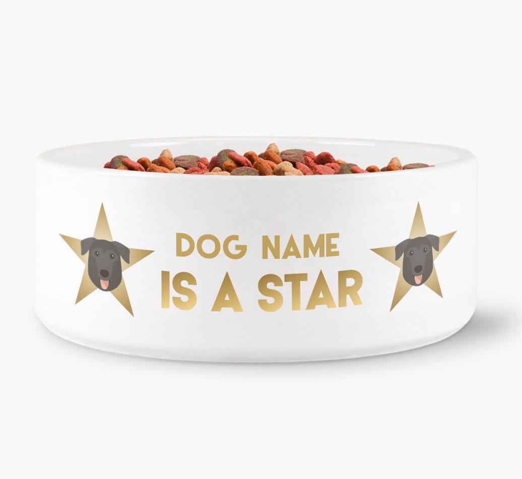 'Dog is a Star' - Personalized Dog Bowl for your {breedFullName}