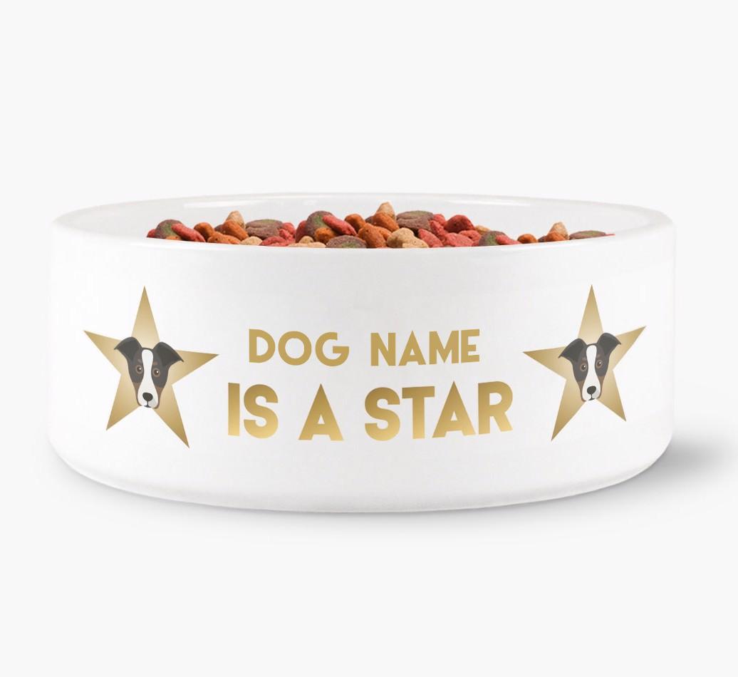'Dog is a Star' - Personalized Dog Bowl for your {breedFullName}