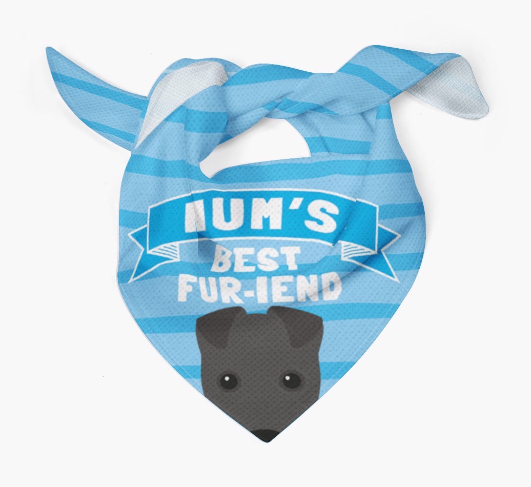 'Mum's Best Fur-iend' - Personalised {breedFullName} Bandana