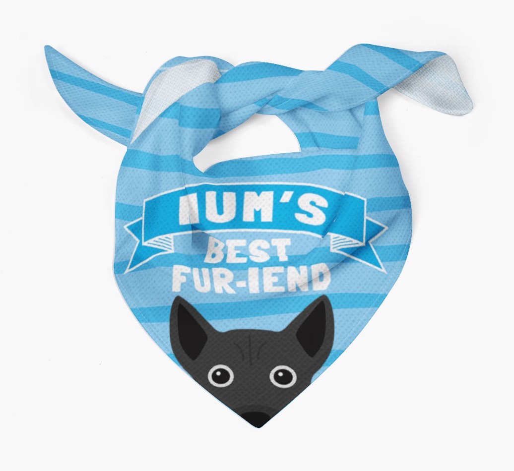 'Mum's Best Fur-iend' - Personalised {breedFullName} Bandana