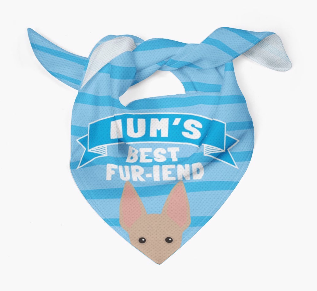 'Mum's Best Fur-iend' - Personalised {breedFullName} Bandana